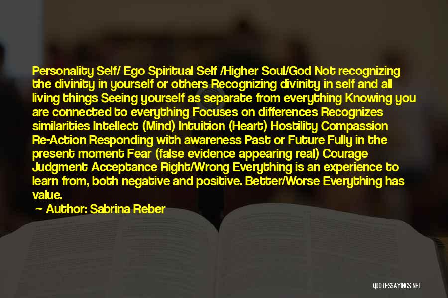 Higher Awareness Quotes By Sabrina Reber