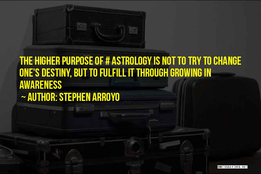 Higher Awareness Quotes By Stephen Arroyo