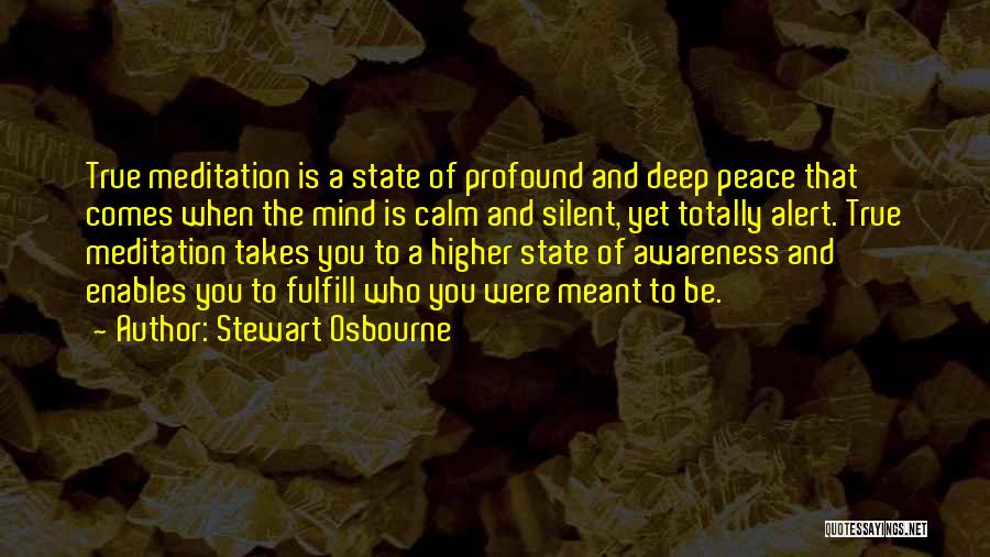 Higher Awareness Quotes By Stewart Osbourne