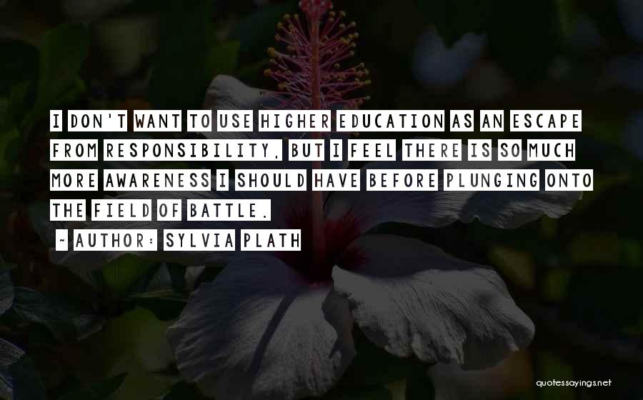 Higher Awareness Quotes By Sylvia Plath