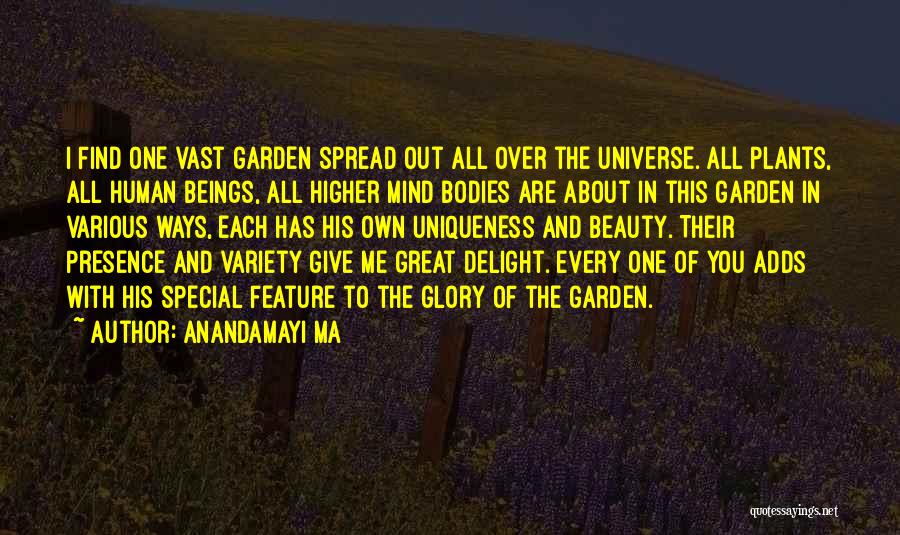 Higher Beings Quotes By Anandamayi Ma