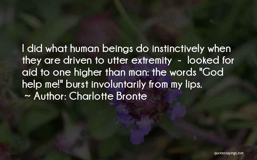 Higher Beings Quotes By Charlotte Bronte