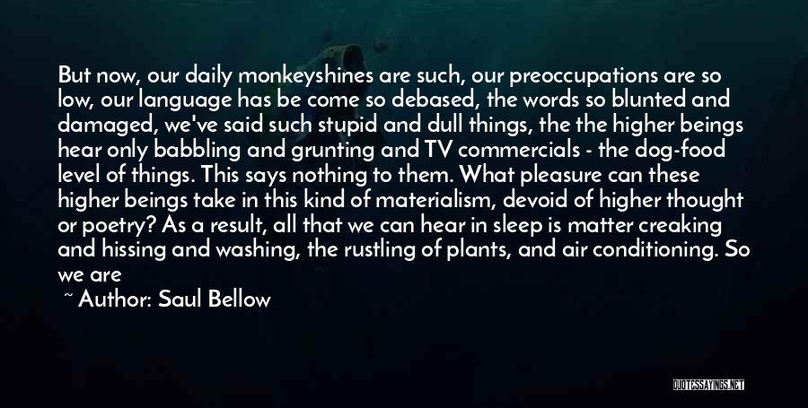 Higher Beings Quotes By Saul Bellow