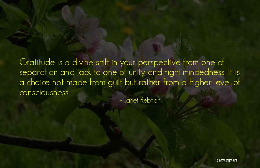 Higher Consciousness Quotes Quotes By Janet Rebhan Higher Consciousness Quotes Quotes By Janet Rebhan