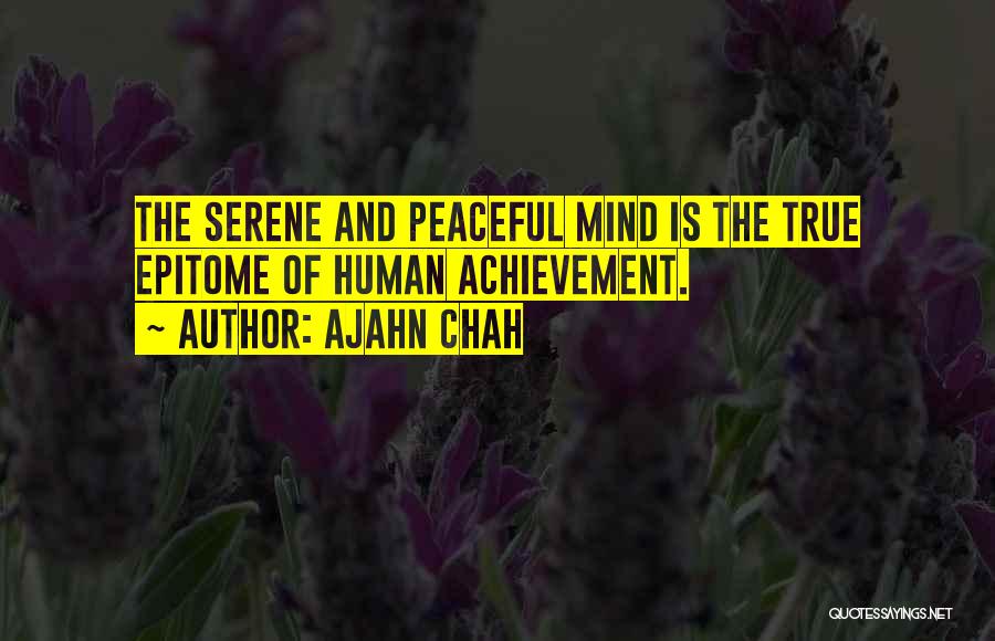 Higher Education Is Important Quotes By Ajahn Chah