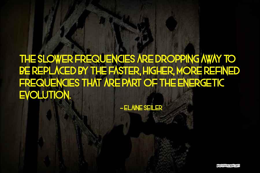 Higher Frequency Quotes By Elaine Seiler