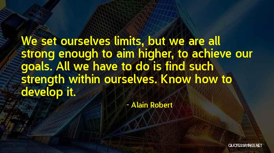 Higher Goals Quotes By Alain Robert