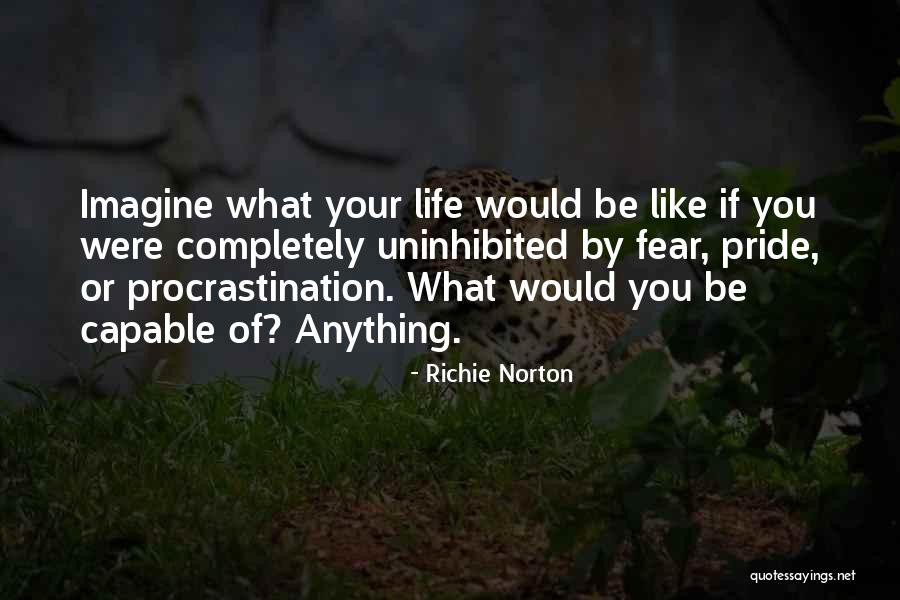 Higher Goals Quotes By Richie Norton