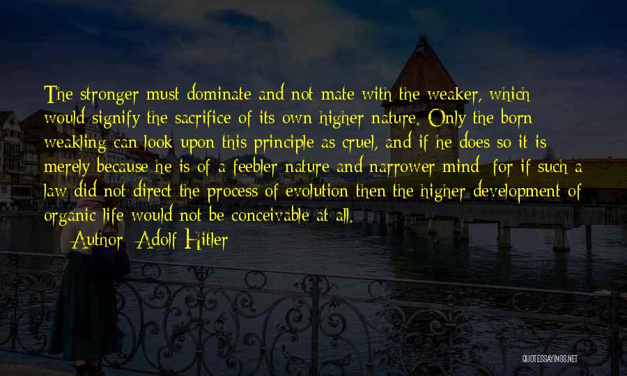 Higher Law Quotes By Adolf Hitler