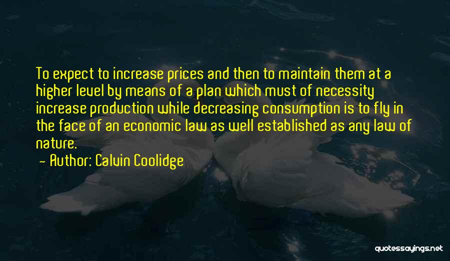 Higher Law Quotes By Calvin Coolidge