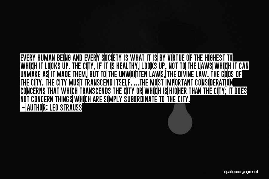 Higher Law Quotes By Leo Strauss