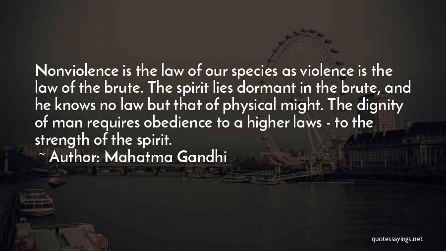 Higher Law Quotes By Mahatma Gandhi