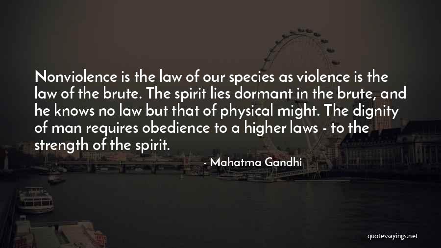 Higher Law Quotes By Mahatma Gandhi