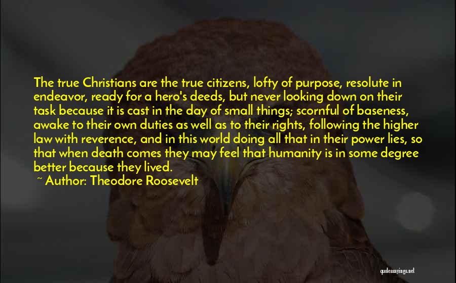 Higher Law Quotes By Theodore Roosevelt