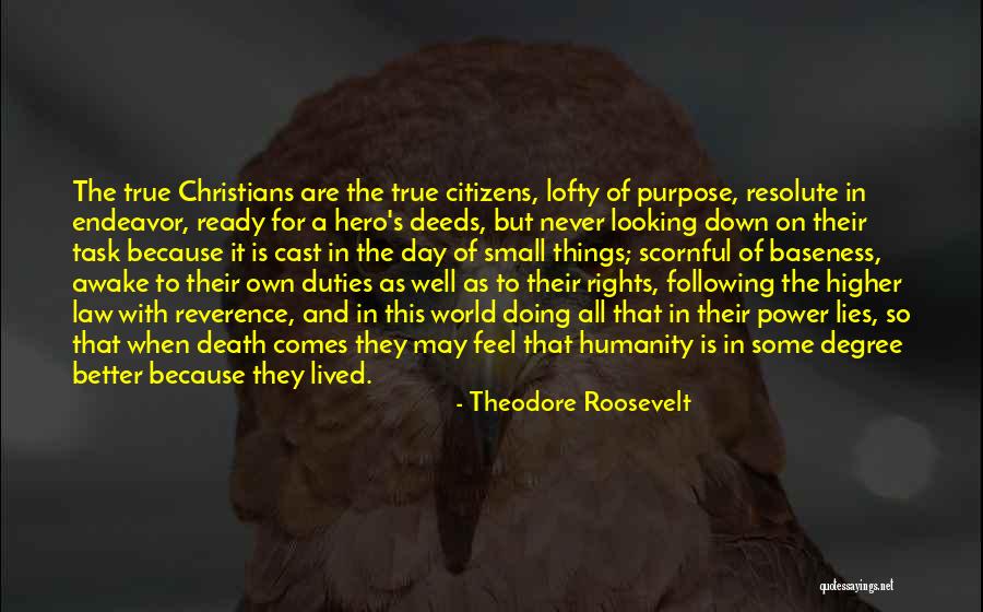 Higher Law Quotes By Theodore Roosevelt