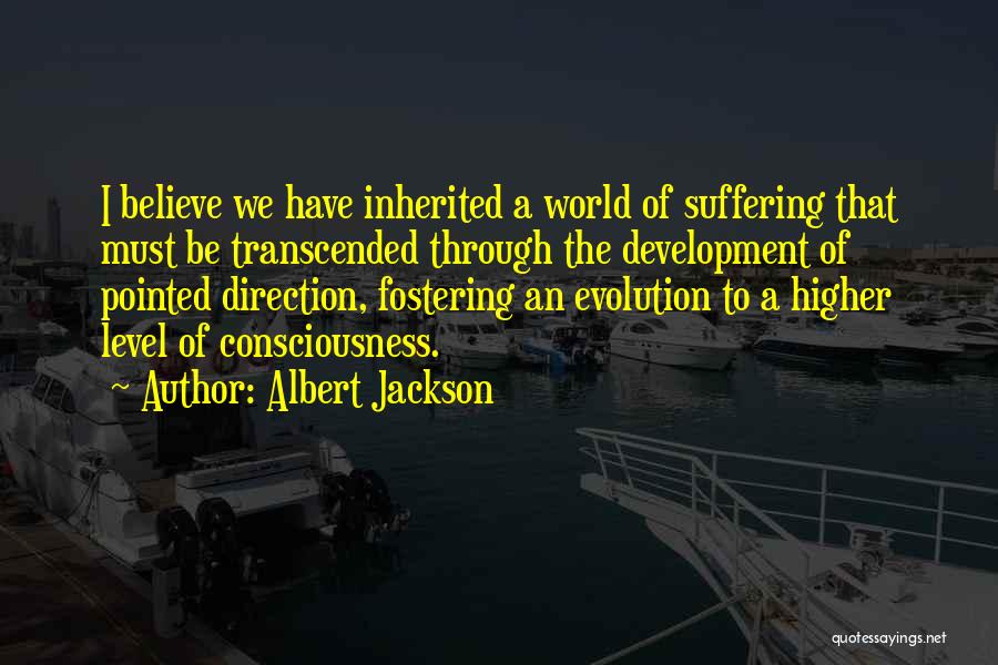 Higher Level Of Consciousness Quotes By Albert Jackson