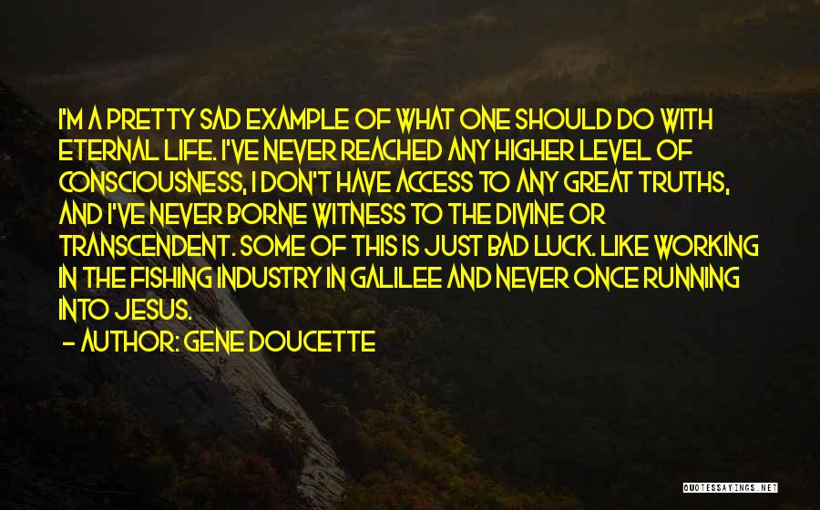 Higher Level Of Consciousness Quotes By Gene Doucette