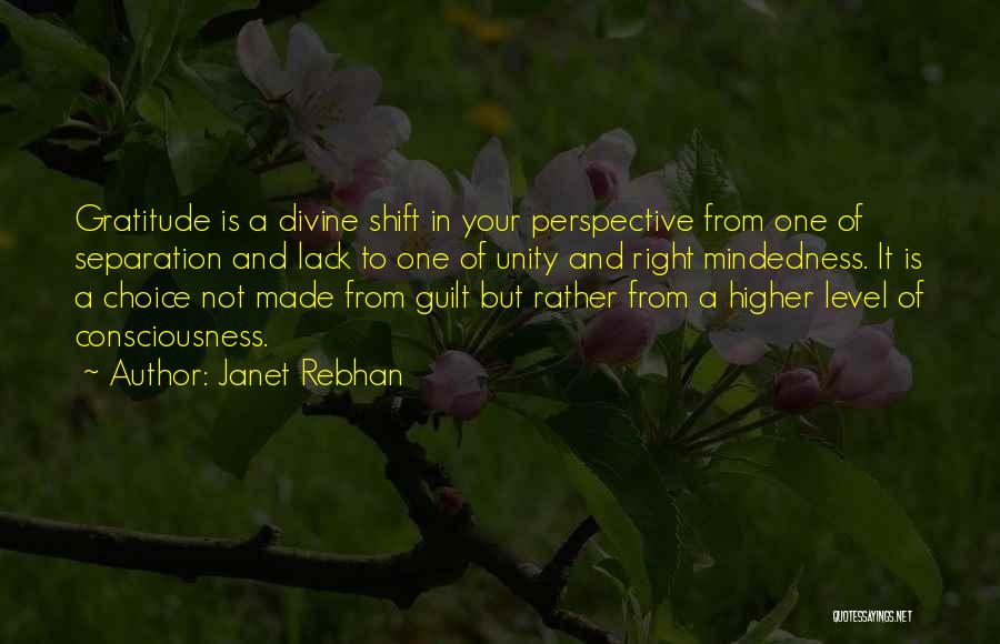 Higher Level Of Consciousness Quotes By Janet Rebhan