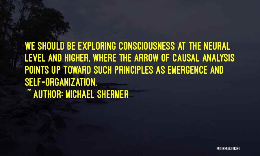 Higher Level Of Consciousness Quotes By Michael Shermer