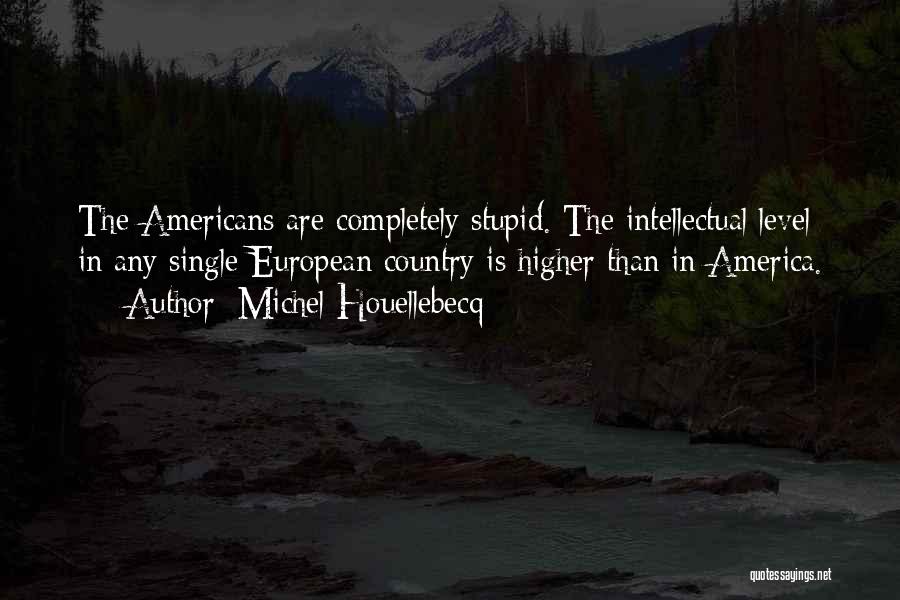Higher Level Quotes By Michel Houellebecq