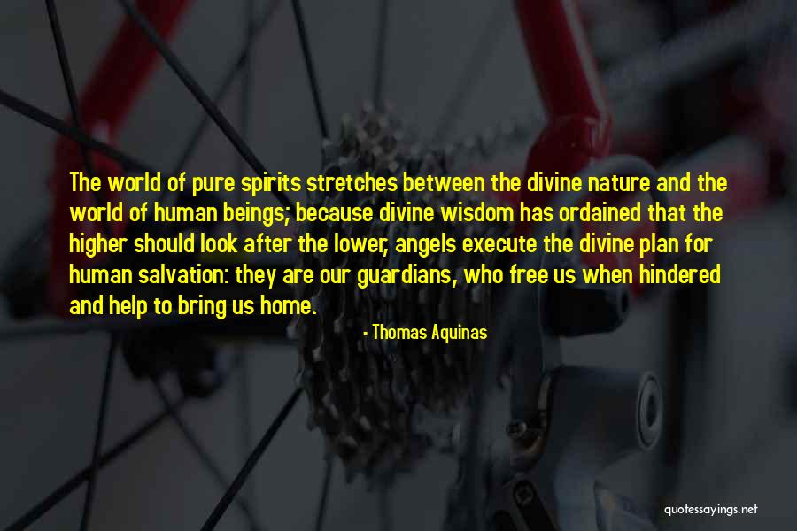 Higher Nature Quotes By Thomas Aquinas Higher Nature Quotes By Thomas Aquinas