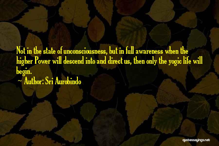 Higher Power Quotes By Sri Aurobindo