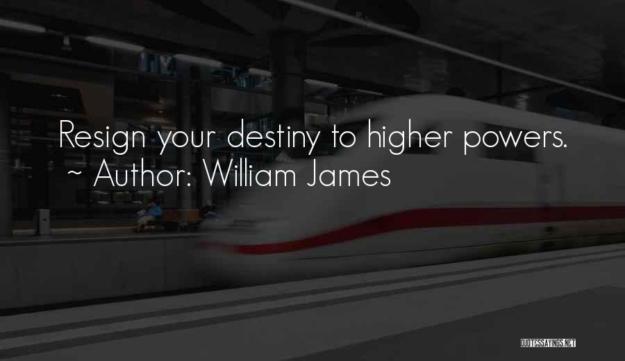 Higher Powers Quotes By William James