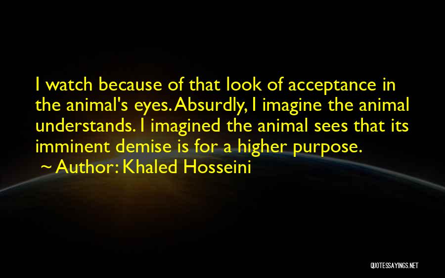 Higher Purpose Quotes By Khaled Hosseini