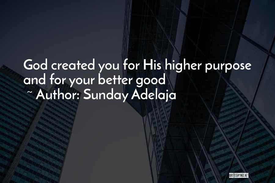 Higher Purpose Quotes By Sunday Adelaja