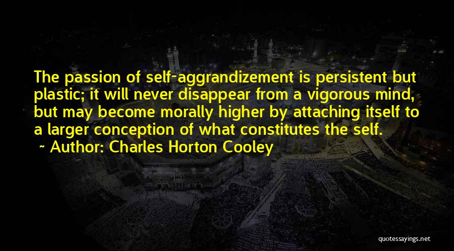 Higher Self Quotes By Charles Horton Cooley