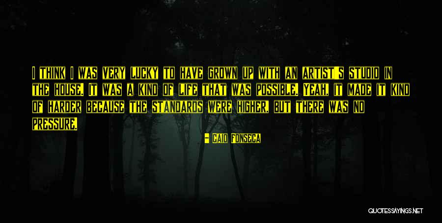 Higher Standards Quotes By Caio Fonseca Higher Standards Quotes By Caio Fonseca