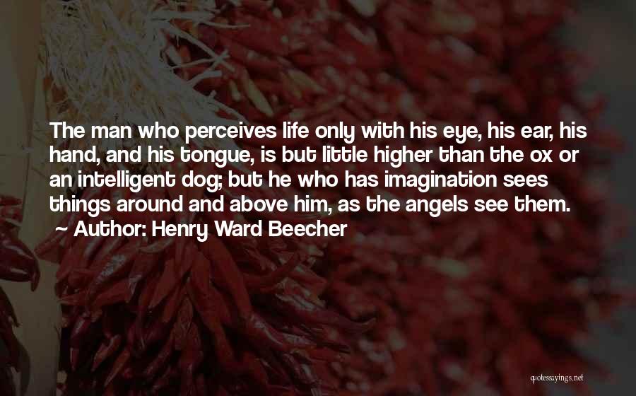 Higher Than Life Quotes By Henry Ward Beecher