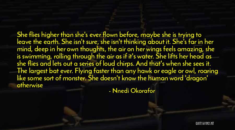 Higher Thoughts Quotes By Nnedi Okorafor