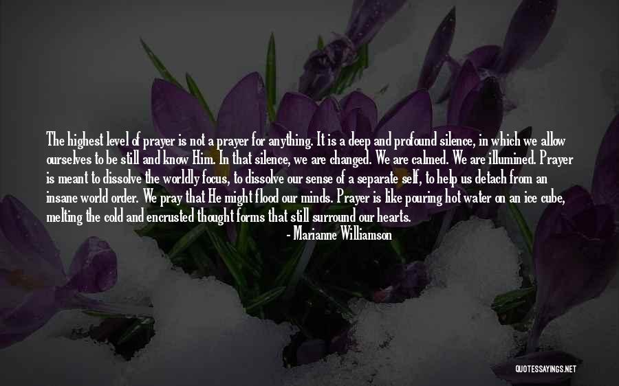 Highest Self Quotes By Marianne Williamson