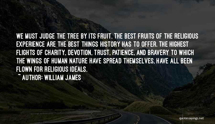Highest Self Quotes By William James