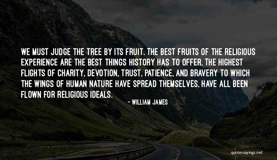 Highest Self Quotes By William James