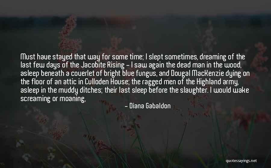 Highland Quotes By Diana Gabaldon