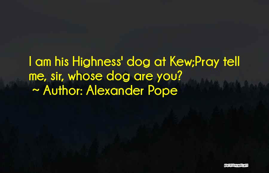 Highness Quotes By Alexander Pope