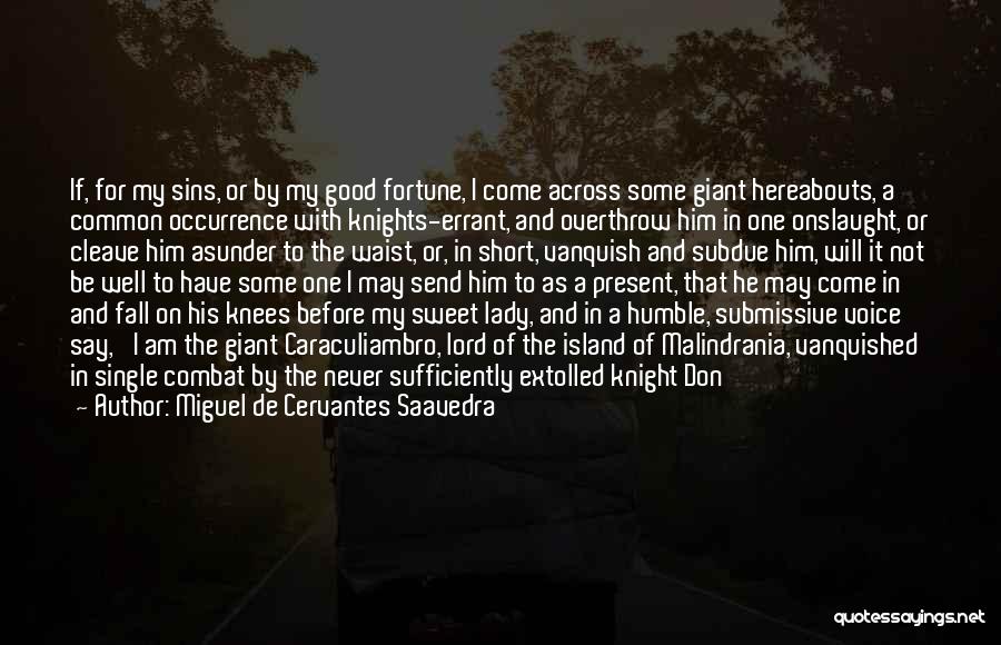 Highness Quotes By Miguel De Cervantes Saavedra