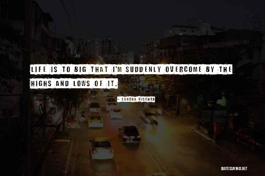 Highs And The Lows Quotes By Sandra Vischer Highs And The Lows Quotes By Sandra Vischer