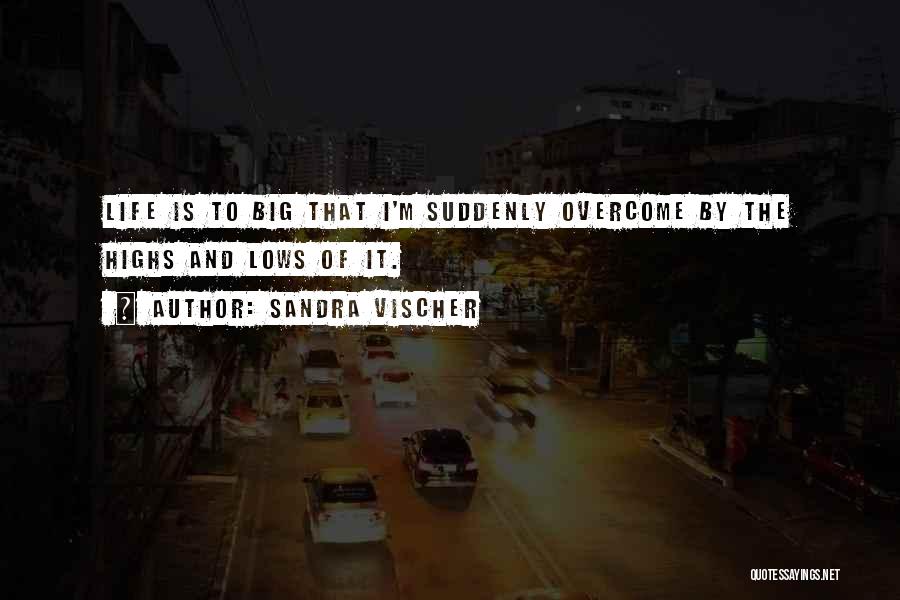 Highs Quotes By Sandra Vischer