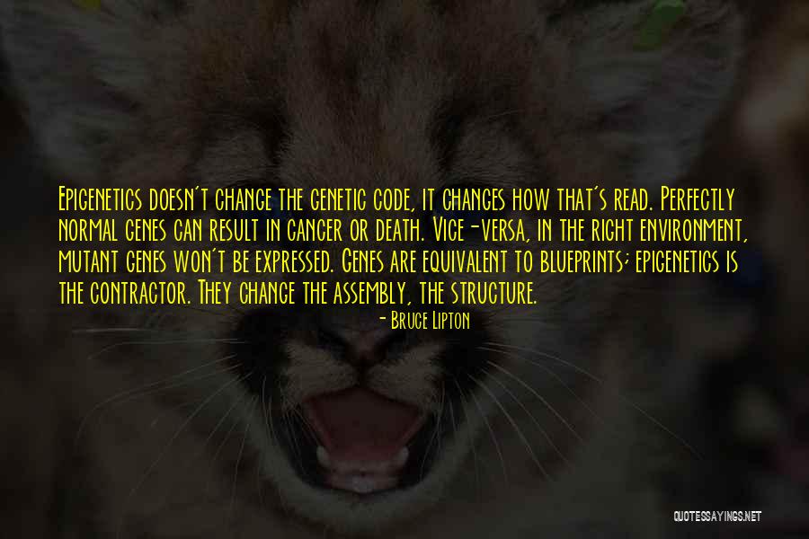 Highths Quotes By Bruce Lipton Highths Quotes By Bruce Lipton
