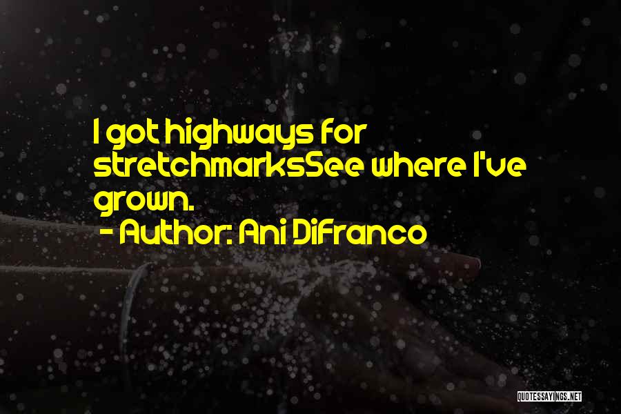 Highways Quotes By Ani DiFranco