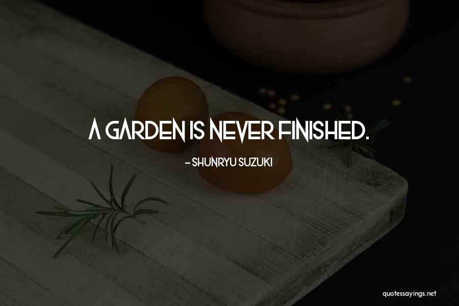 Hignite Enterprises Quotes By Shunryu Suzuki Hignite Enterprises Quotes By Shunryu Suzuki