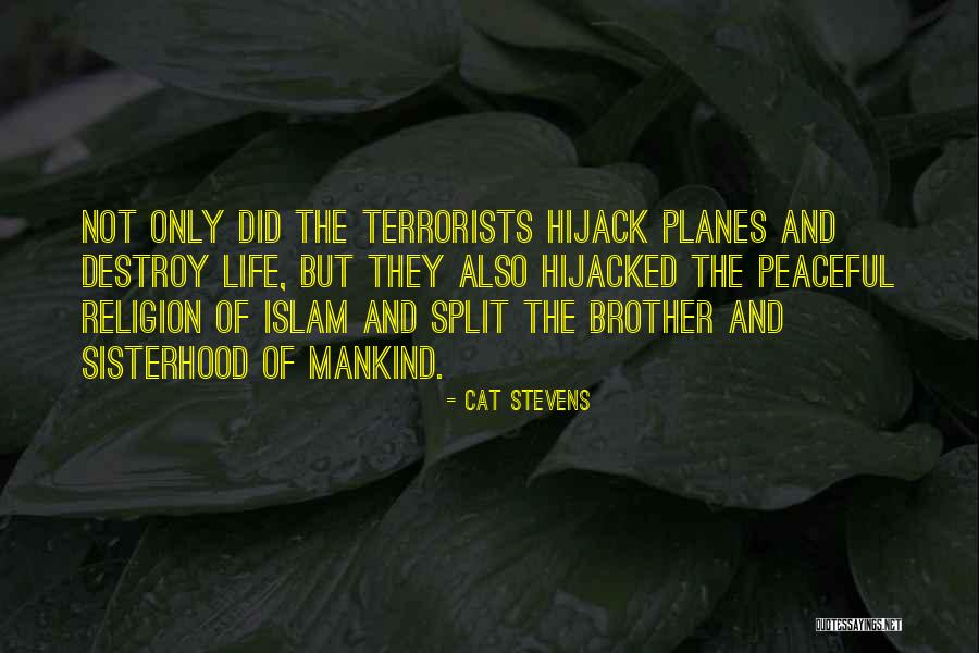 Hijacked Quotes By Cat Stevens