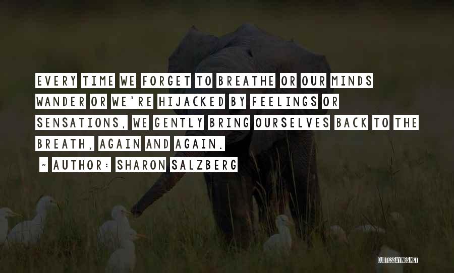 Hijacked Quotes By Sharon Salzberg