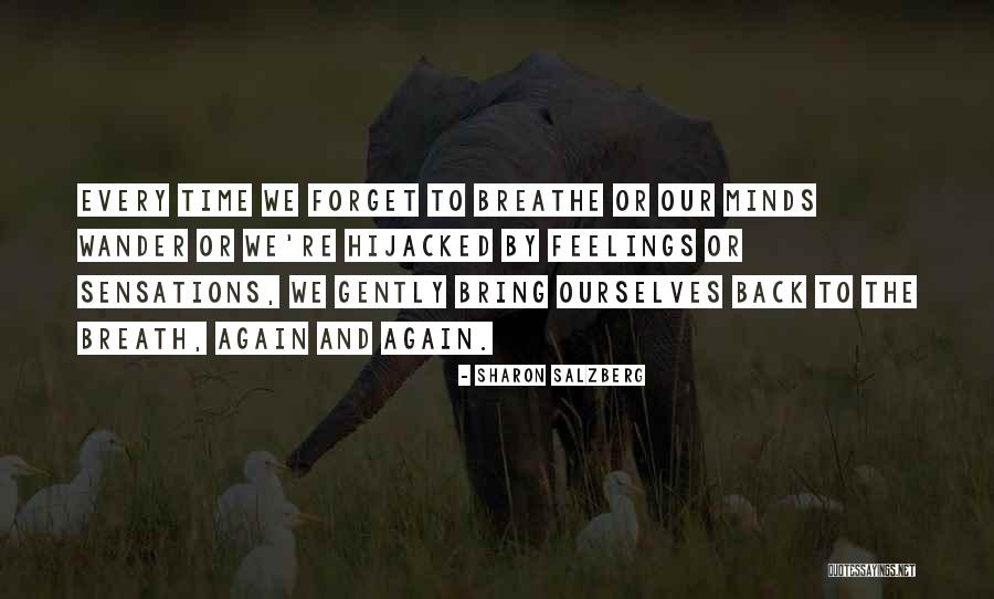 Hijacked Quotes By Sharon Salzberg Hijacked Quotes By Sharon Salzberg