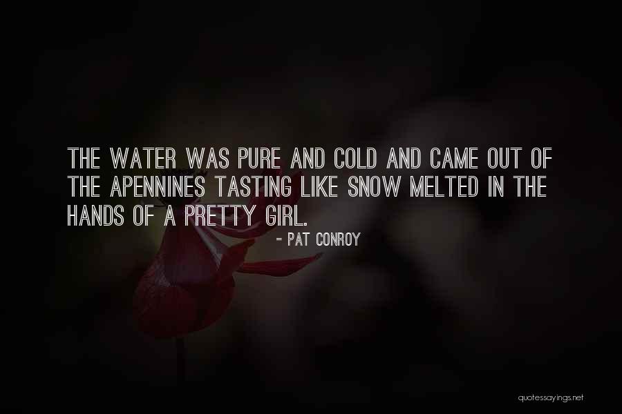 Hijackers Of 9 Quotes By Pat Conroy Hijackers Of 9 Quotes By Pat Conroy