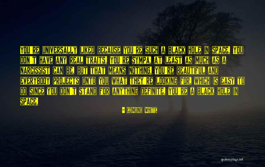 Hijacks Car Quotes By Edmund White