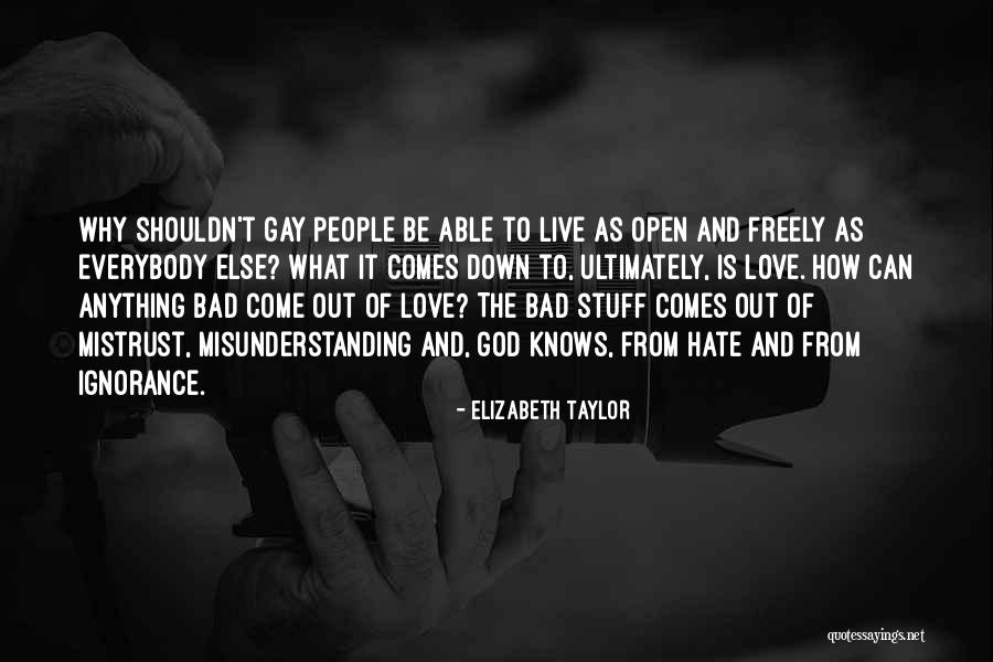 Hijastro Visita Quotes By Elizabeth Taylor Hijastro Visita Quotes By Elizabeth Taylor